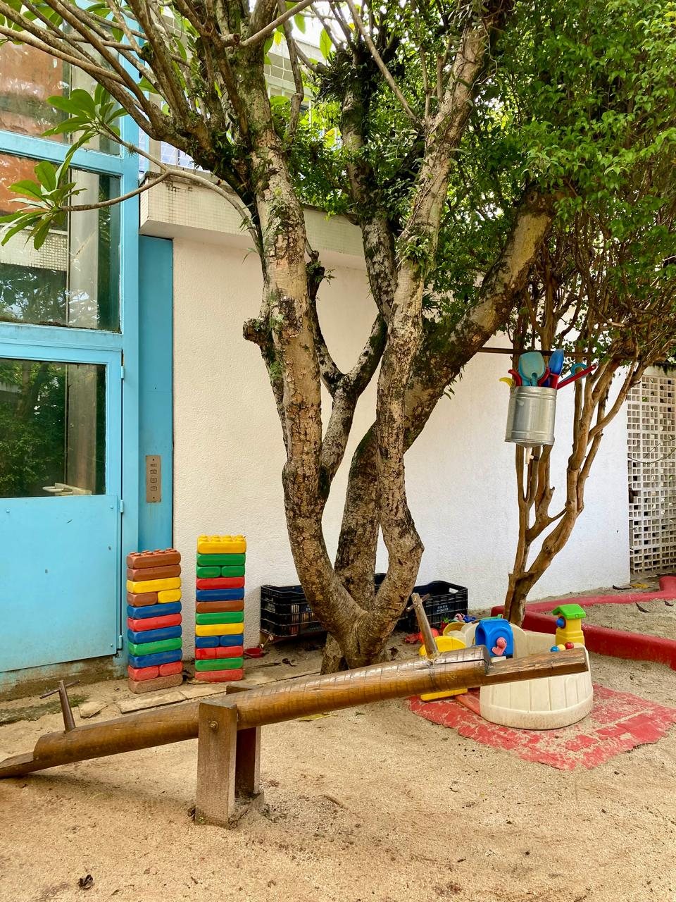 Pátio arborizado da All Together, escola bilíngue no Jardim Paulistano